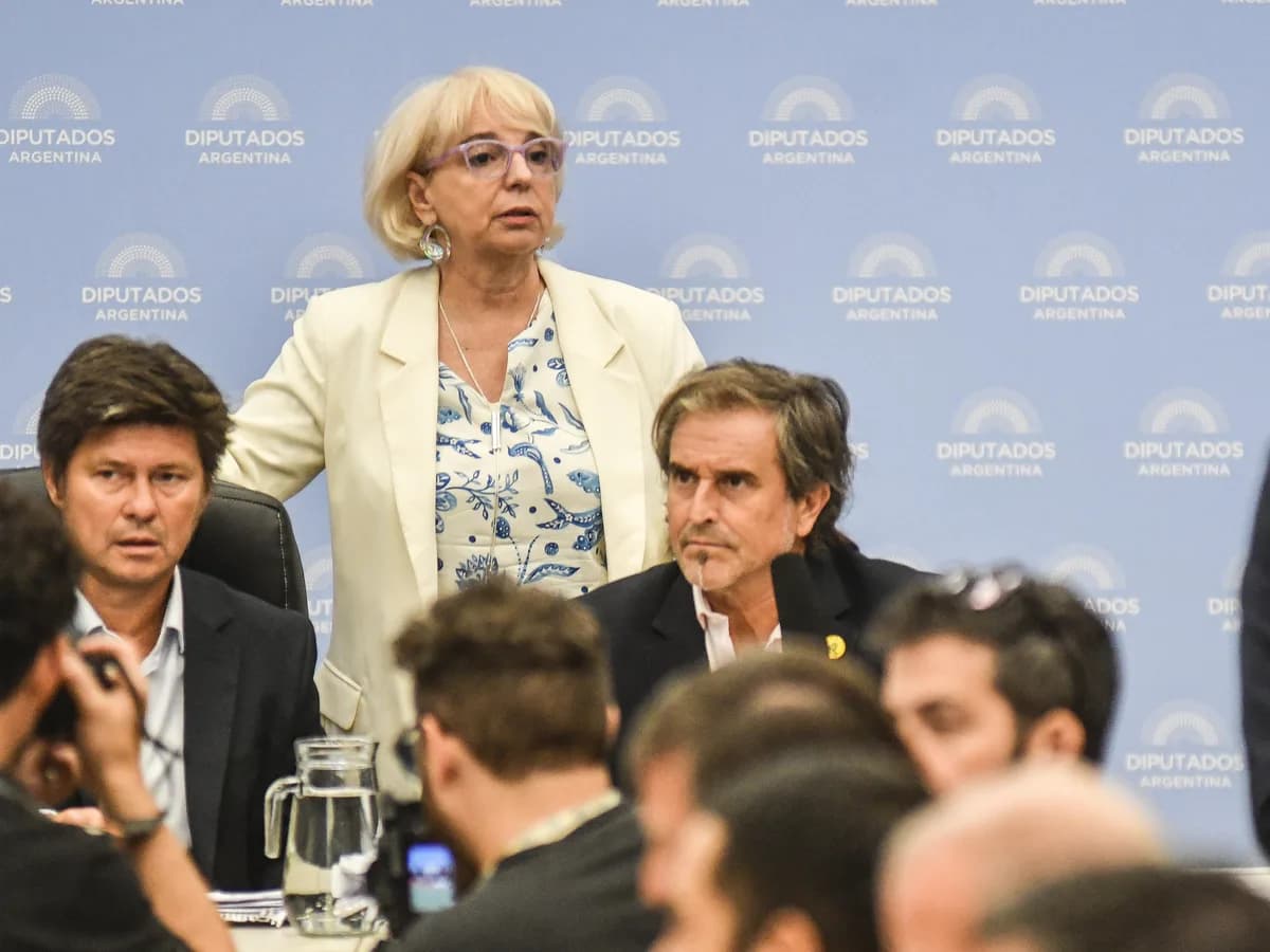 El Gobierno cedió en un artículo clave para avanzar en Diputados con el proyecto de inocencia fiscal