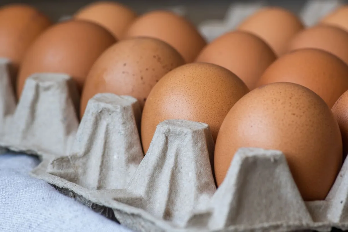 Nueva York repartirá casi cinco millones de huevos gratis: quiénes los recibirán