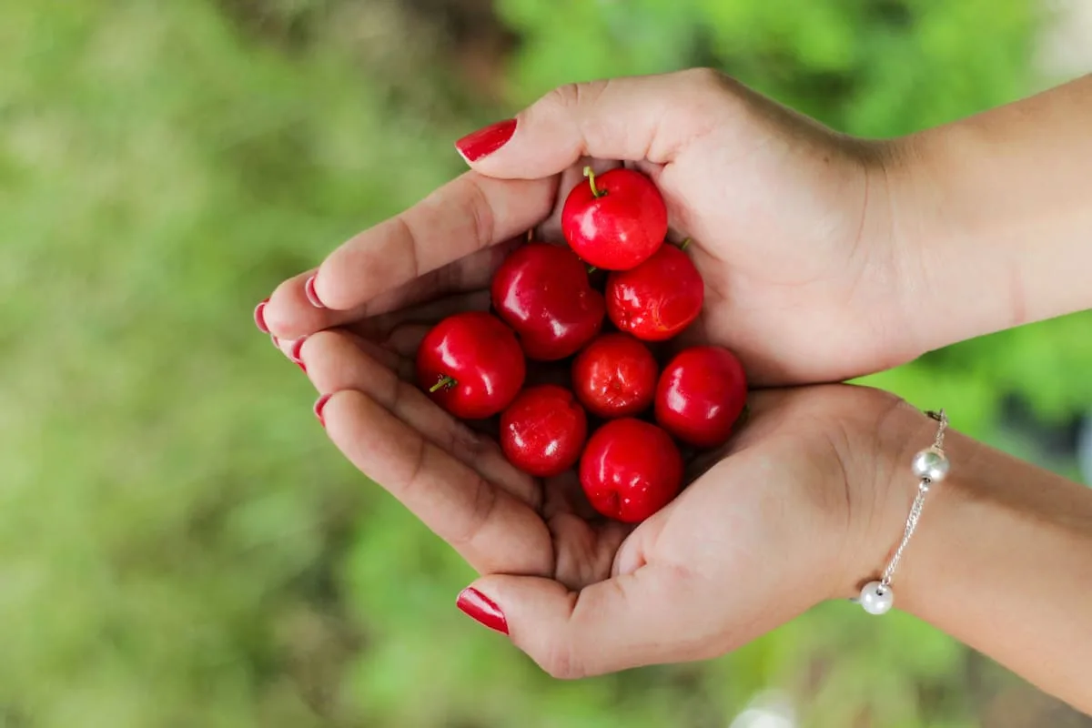 Acerola: beneficios para la piel y el sistema digestivo, y quiénes deben evitarla