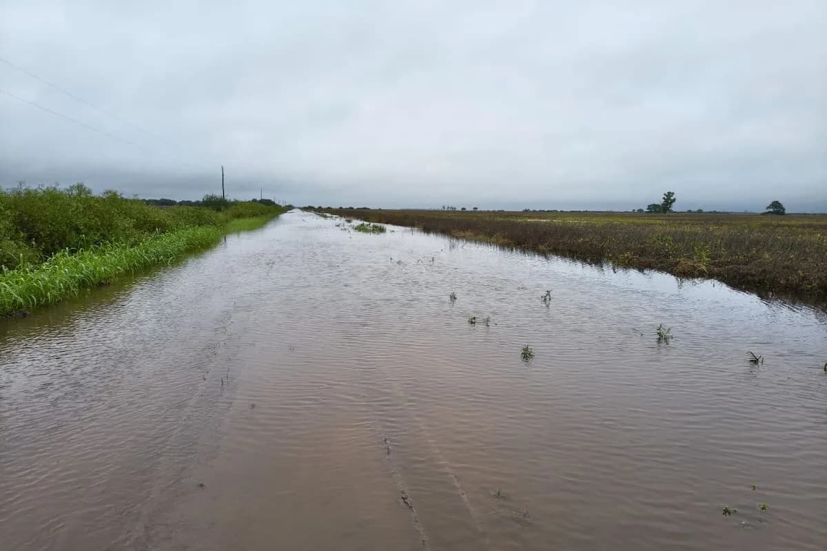 Lluvia histórica en Santa Fe: campos anegados, cosechas perdidas y reclamo de obras