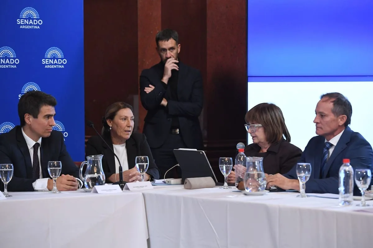 Reforma política: el oficialismo admite que Ficha Limpia podría tratarse por separado