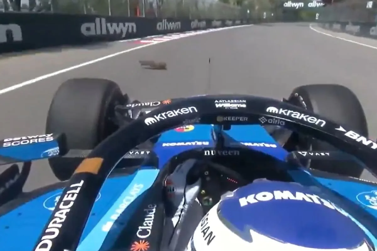 Alex Albon atropelló una marmota en el GP de Canadá y sufrió daños en su Williams