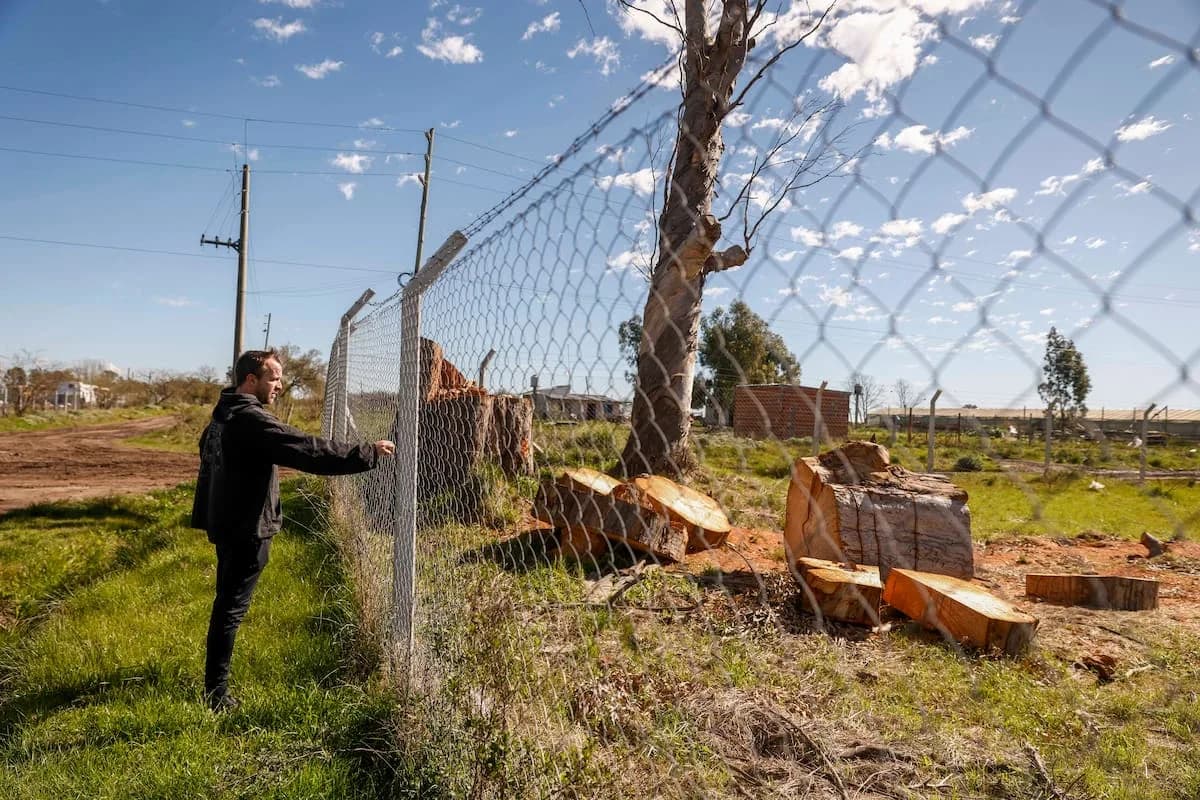 Entre arroyos y countries: vecinos intentan salvar el último pulmón rural del conurbano antes de que cambie para siempre