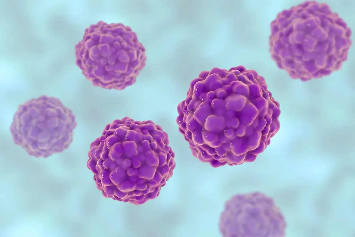 Investigación argentina: un misterioso virus podría ayudar a predecir (y evitar) complicaciones en trasplantados renales