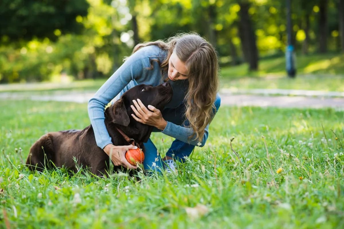 Los veterinarios coinciden: el amor de un perro no se mide por cuánto interactúa con su dueño, sino por un llamativo detalle
