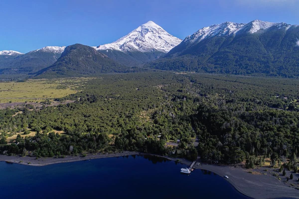 Drones siembran araucarias en Neuquén: el plan para recuperar 200 hectáreas del Parque Nacional Lanín