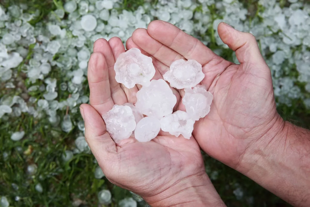 ¿Graniza hoy, domingo 27 de septiembre, en el AMBA, según el SMN?
