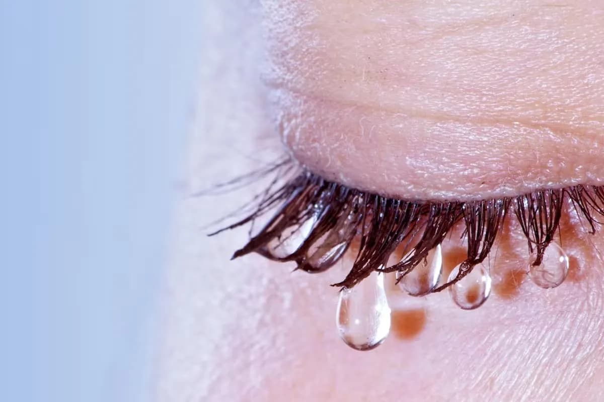 Cómo son los diseños secretos de las lágrimas: cada gota deja un sedimento con un patrón único