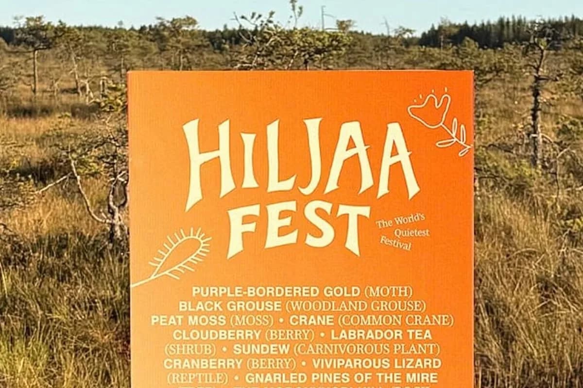 Finlandia lanzó un festival del silencio en un parque nacional para escuchar la naturaleza