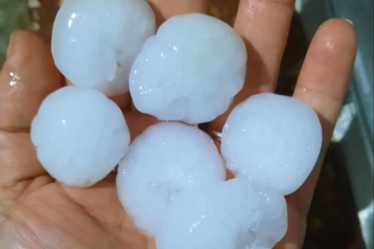 Temporal y alerta meteorológica en la ciudad y provincia de Buenos Aires: cómo seguirá el tiempo