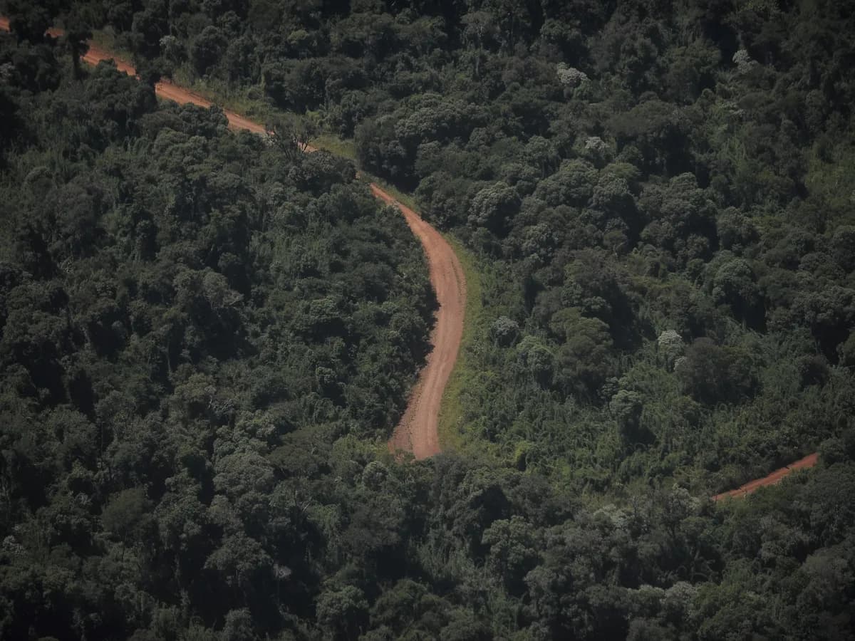 Una provincia que tiene el 90% de su línea limítrofe con otros países fue a la Justicia para frenar la venta sin limitaciones de tierras a extranjeros