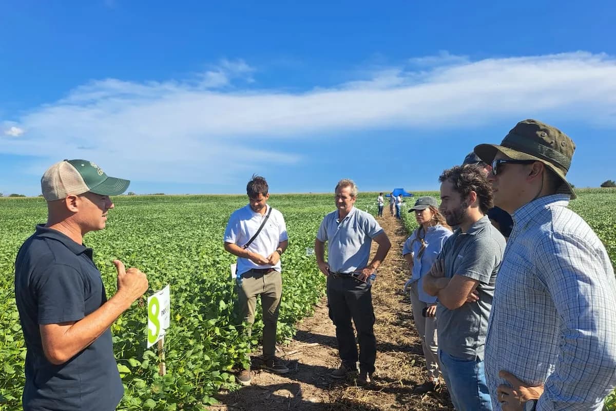 Soja: estiman que existe una brecha productiva del 34% y ponen el foco en el manejo dentro de cada lote