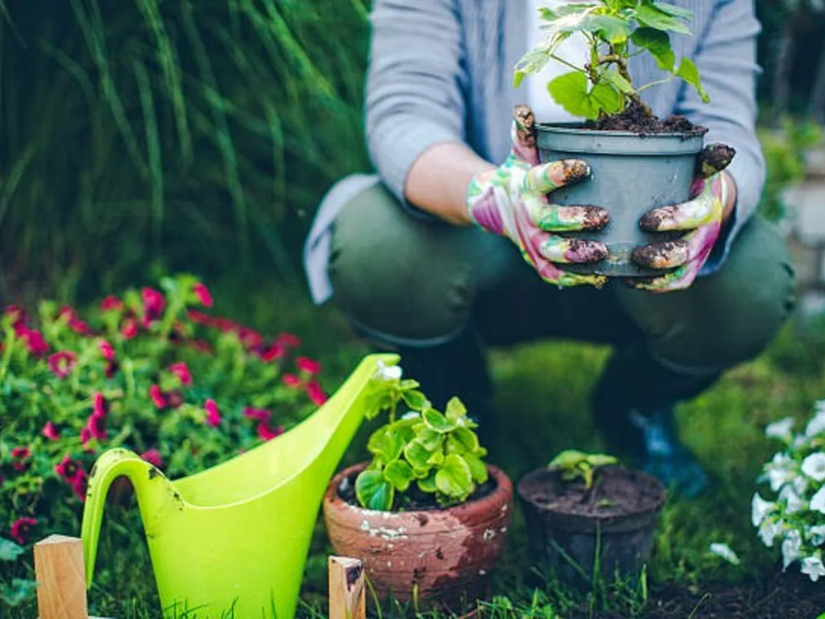 Ponerle nombre a plantas, autos u objetos: qué dice la psicología sobre ese hábito