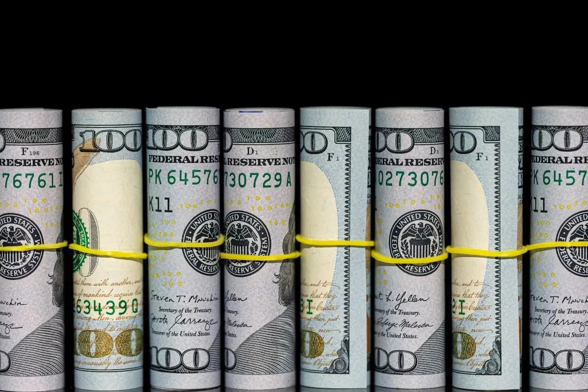 El Banco Central registró la menor compra semanal de dólares del año