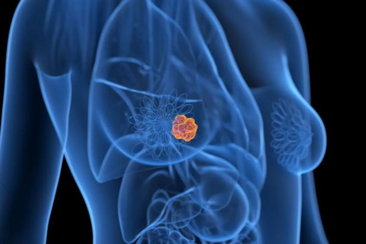 Mamografía desde los 40: qué cambia si hay antecedentes familiares de cáncer de mama