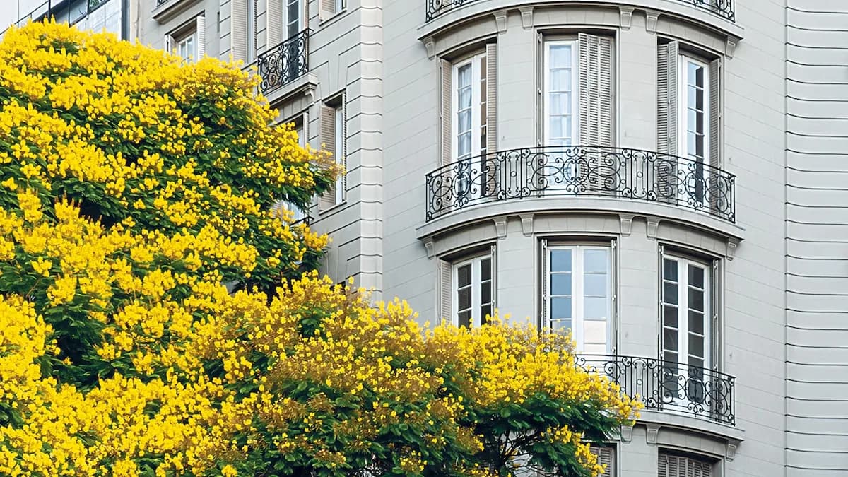 “En primavera hay que vivir en Buenos Aires”: un libro muestra los árboles y la arquitectura que hacen única a esta ciudad