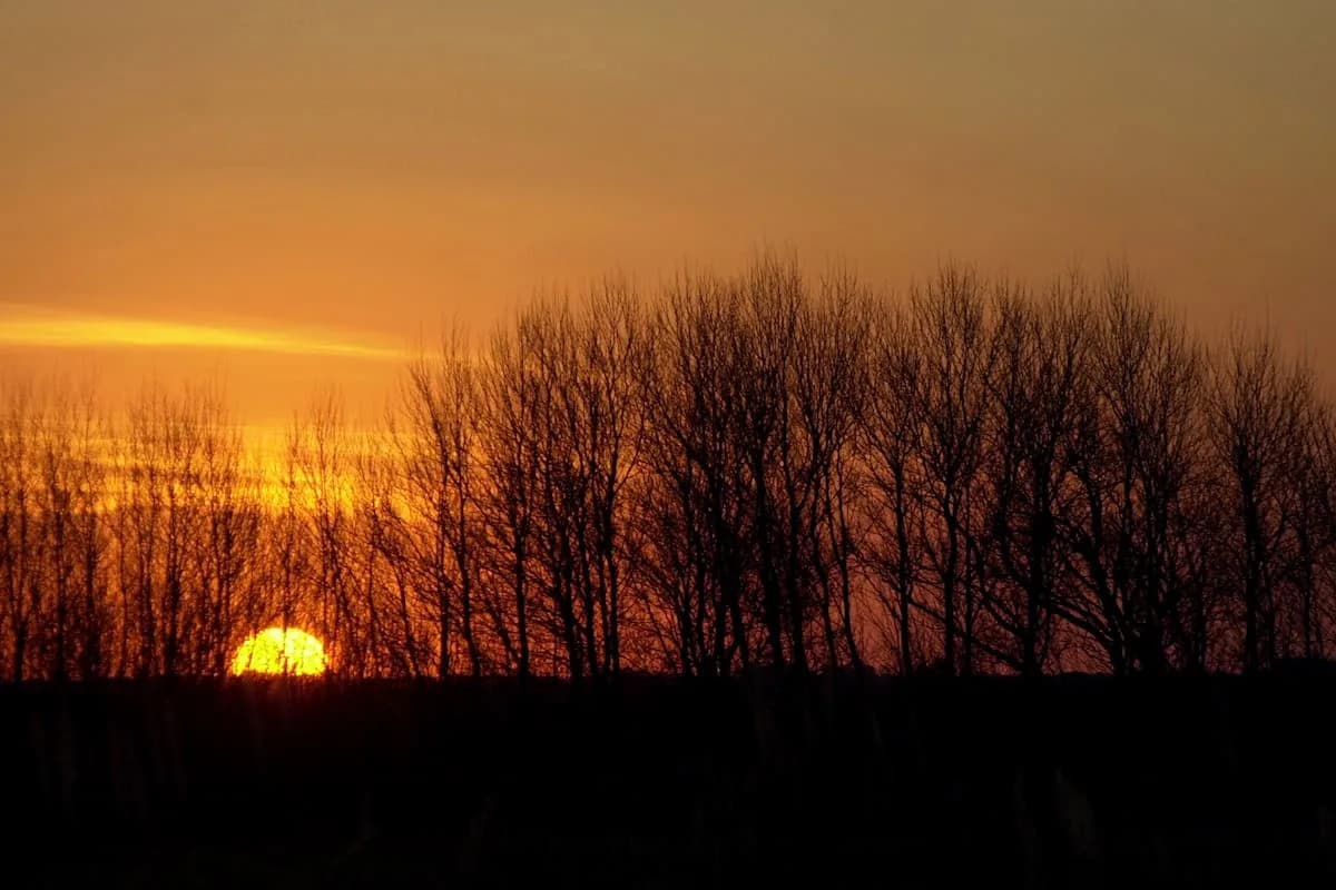Qué día sale el sol en Buenos Aires, tras la seguidilla de lluvias y nubes que dominaron el clima en agosto