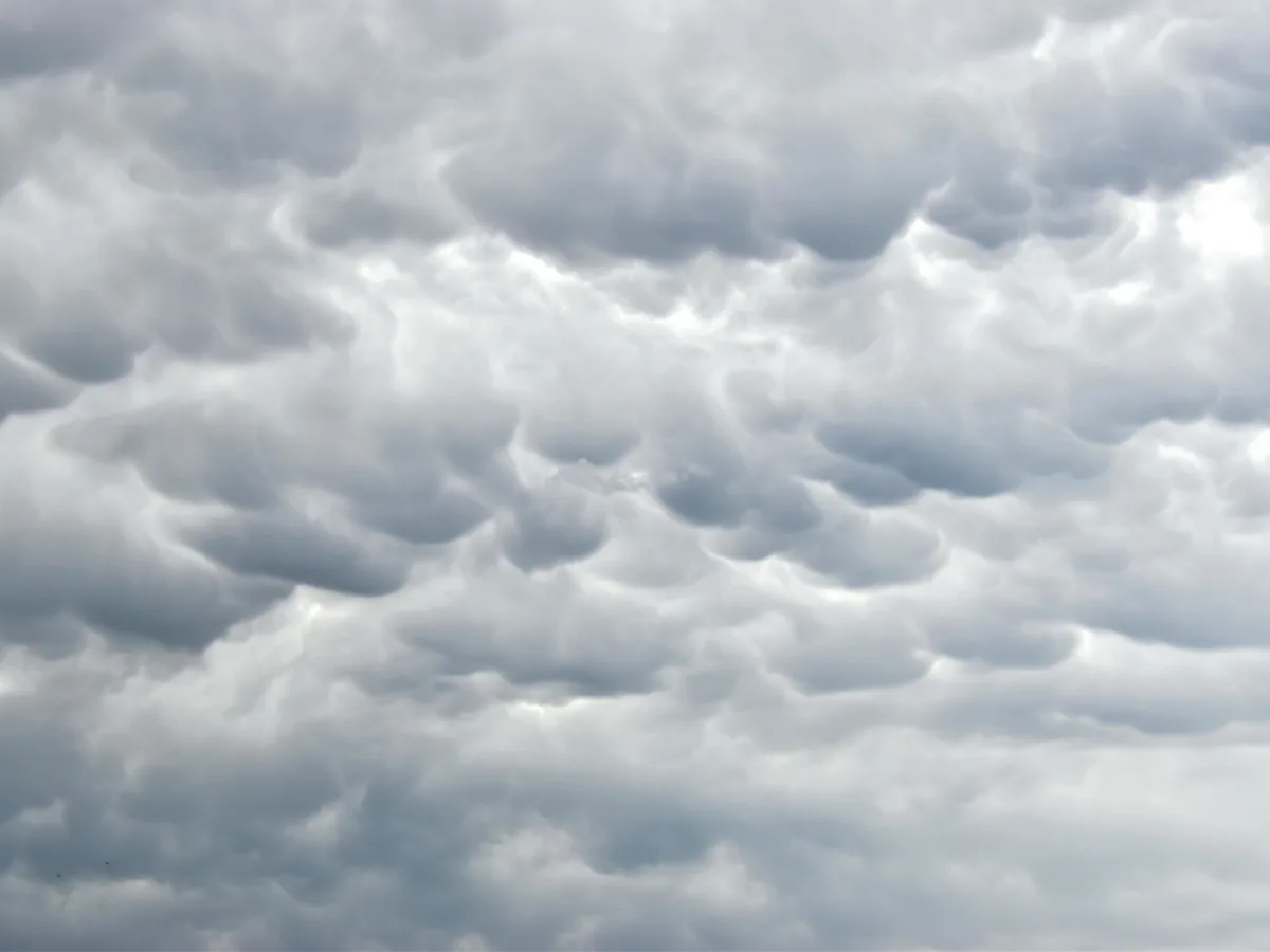 Clima hoy en Tacuarembó, Uruguay: el pronóstico del tiempo para este viernes 21 agosto de 2026