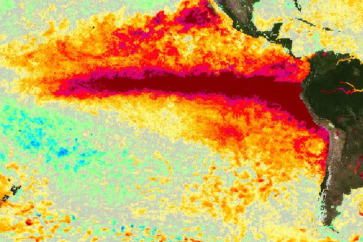 El Niño no será igual en todas las regiones del país: los motivos