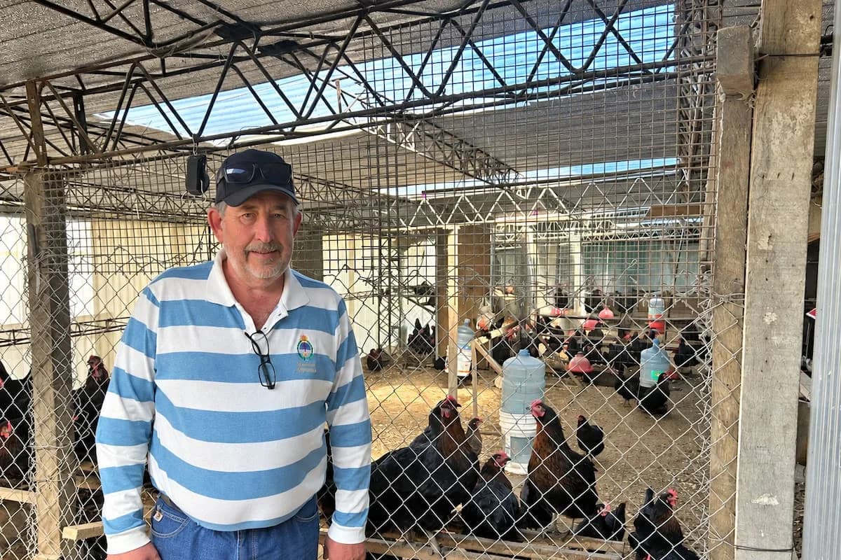 Nelson, el jubilado de 62 años que cría gallinas en Ushuaia y produce huevos azules