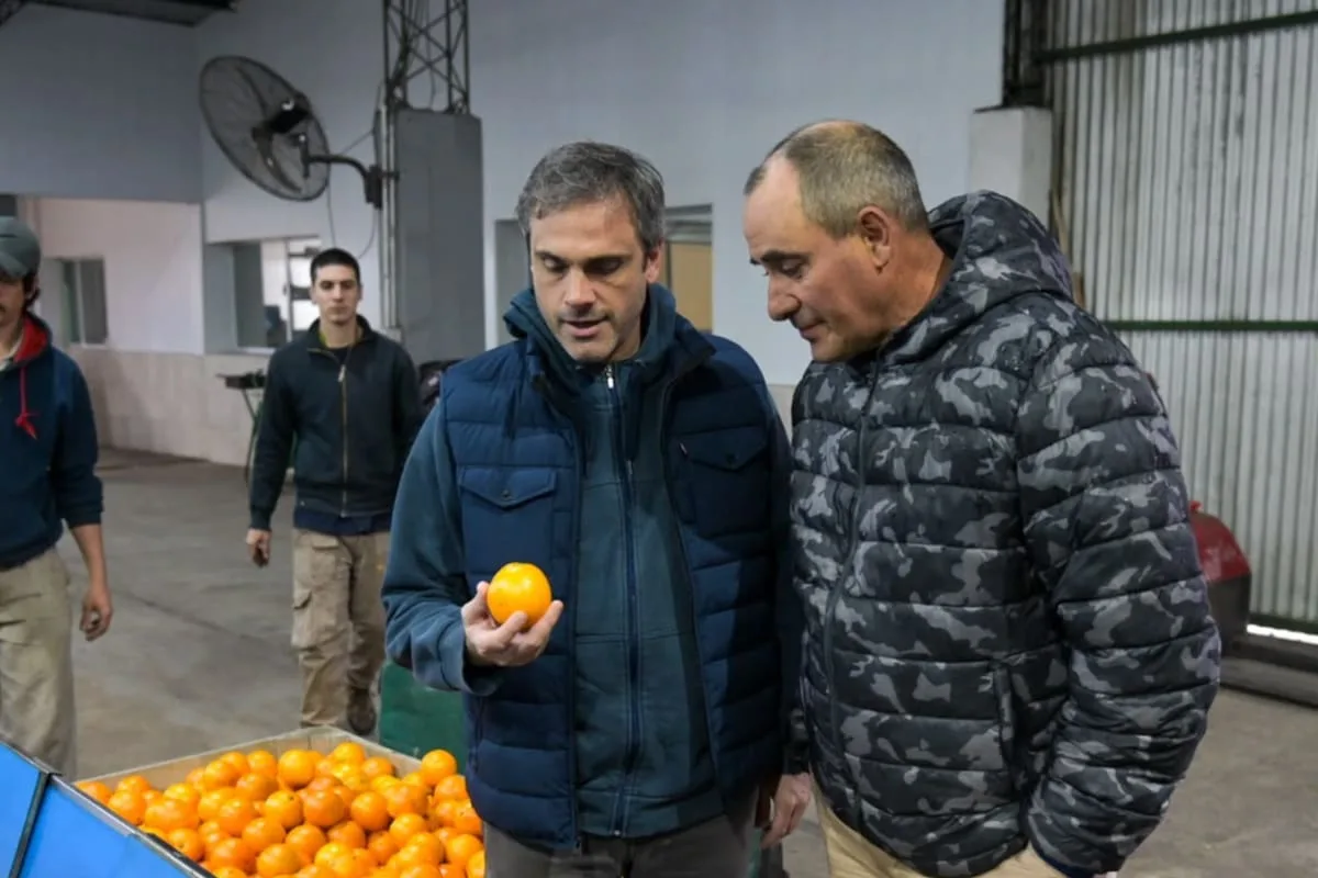 Cítricos dulces: dos legisladores peronistas de Entre Ríos le pidieron a Quirno información sobre la demorada apertura de los EE.UU.