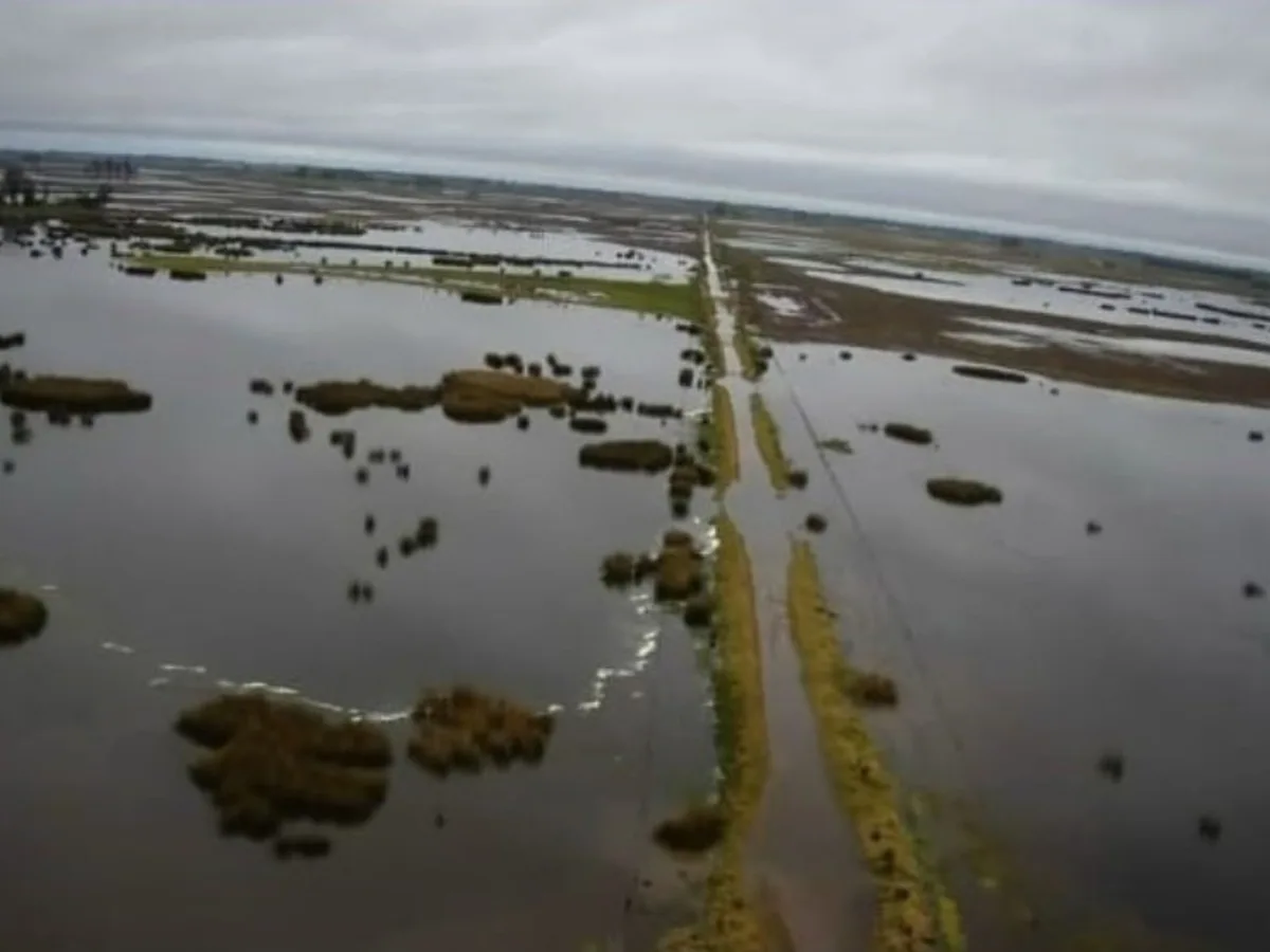 El Niño ya deja excesos hídricos en el centro bonaerense y los productores temen otra inundación