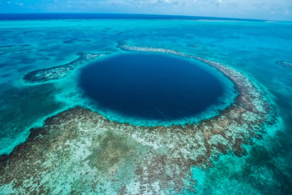 Un grupo de buzos llegó al fondo del “Gran Agujero Azul” y se quedó sin palabras al ver qué pasaba ahí