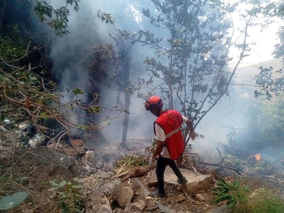 Se estrelló un helicóptero en Kenia y hay siete muertos, entre ellos el jefe de Inteligencia de Ecuador