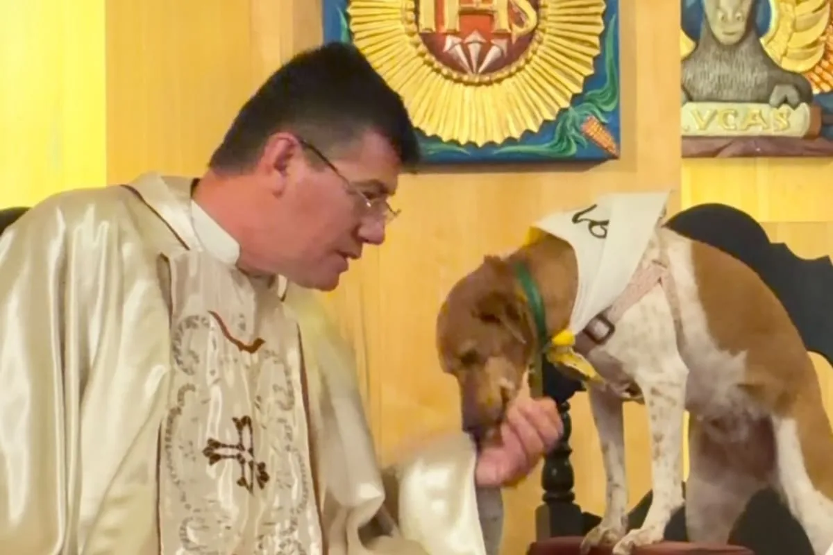 Un cura de Tancacha se hizo viral por compartir el altar con Nina, su perrita