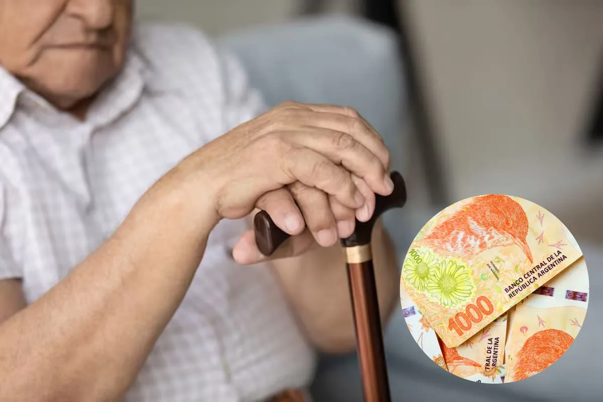 Pagos Anses: a cuánto llega la PUAM en octubre de 2026 con el aumento confirmado