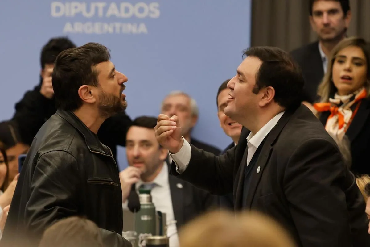 Gritos, forcejeos e insultos entre la oposición y legisladores oficialistas en la comisión por Malvinas