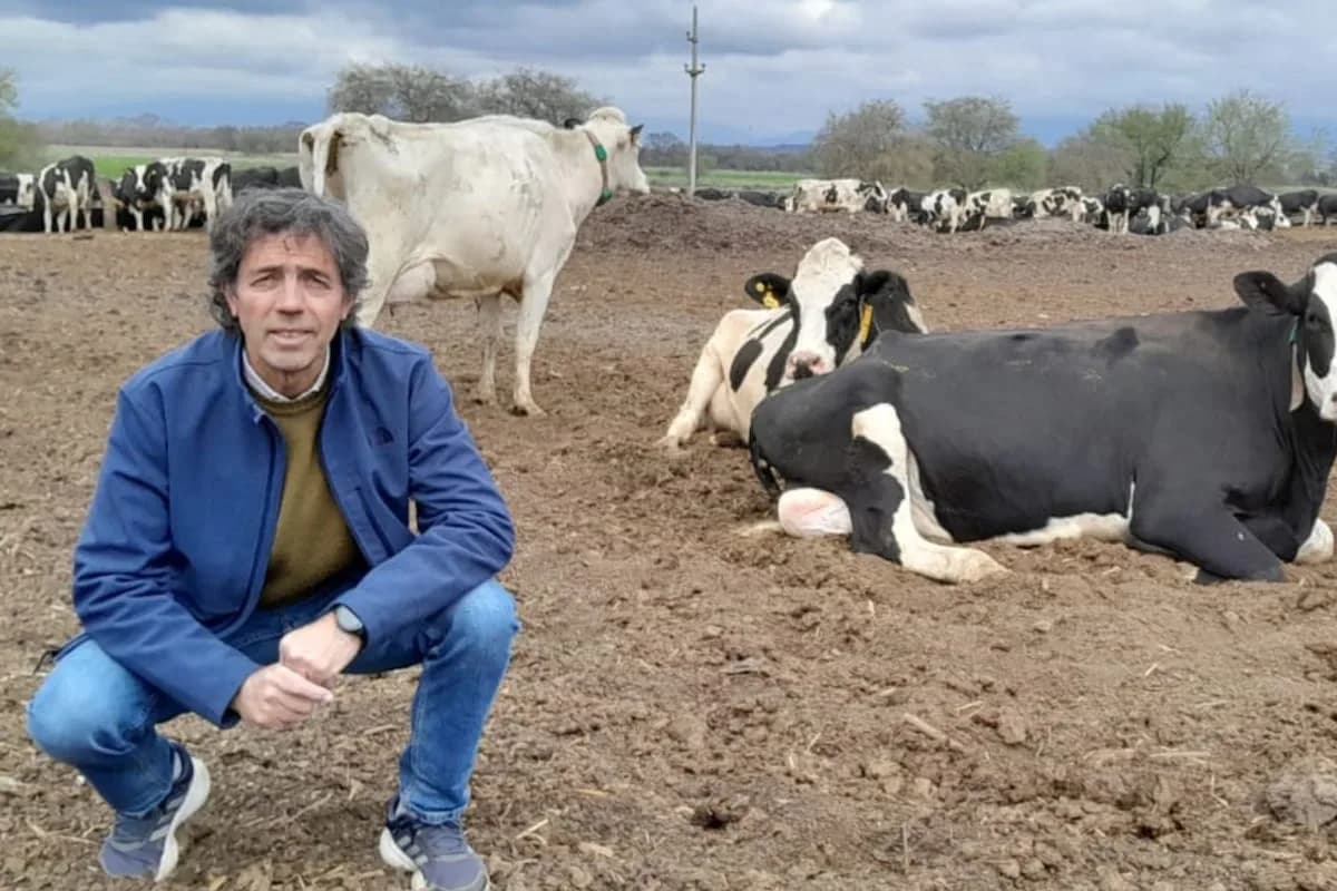 Maneja 1100 hectáreas: el exitoso modelo “multifunción” que creó un empresario que rompe moldes
