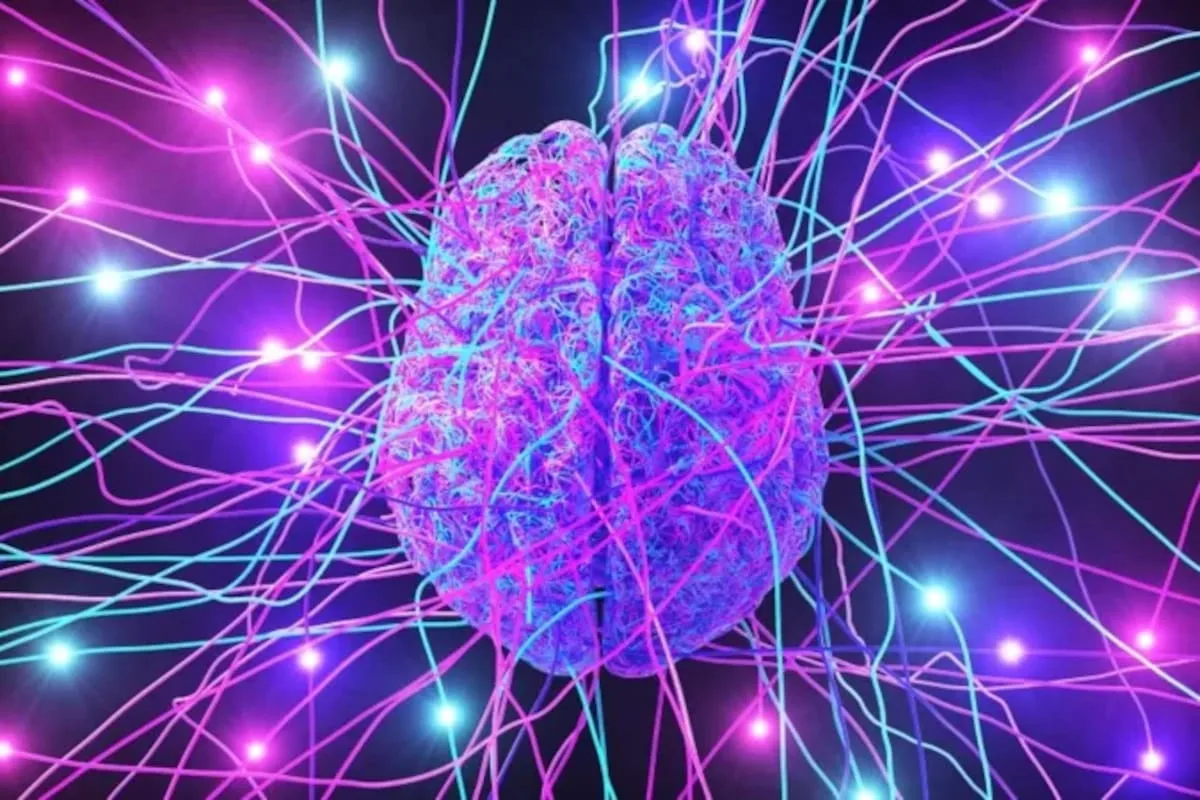 Nobel de Medicina 2026: optogenética, la técnica que empezó con una microalga y luego revolucionó el estudio del cerebro