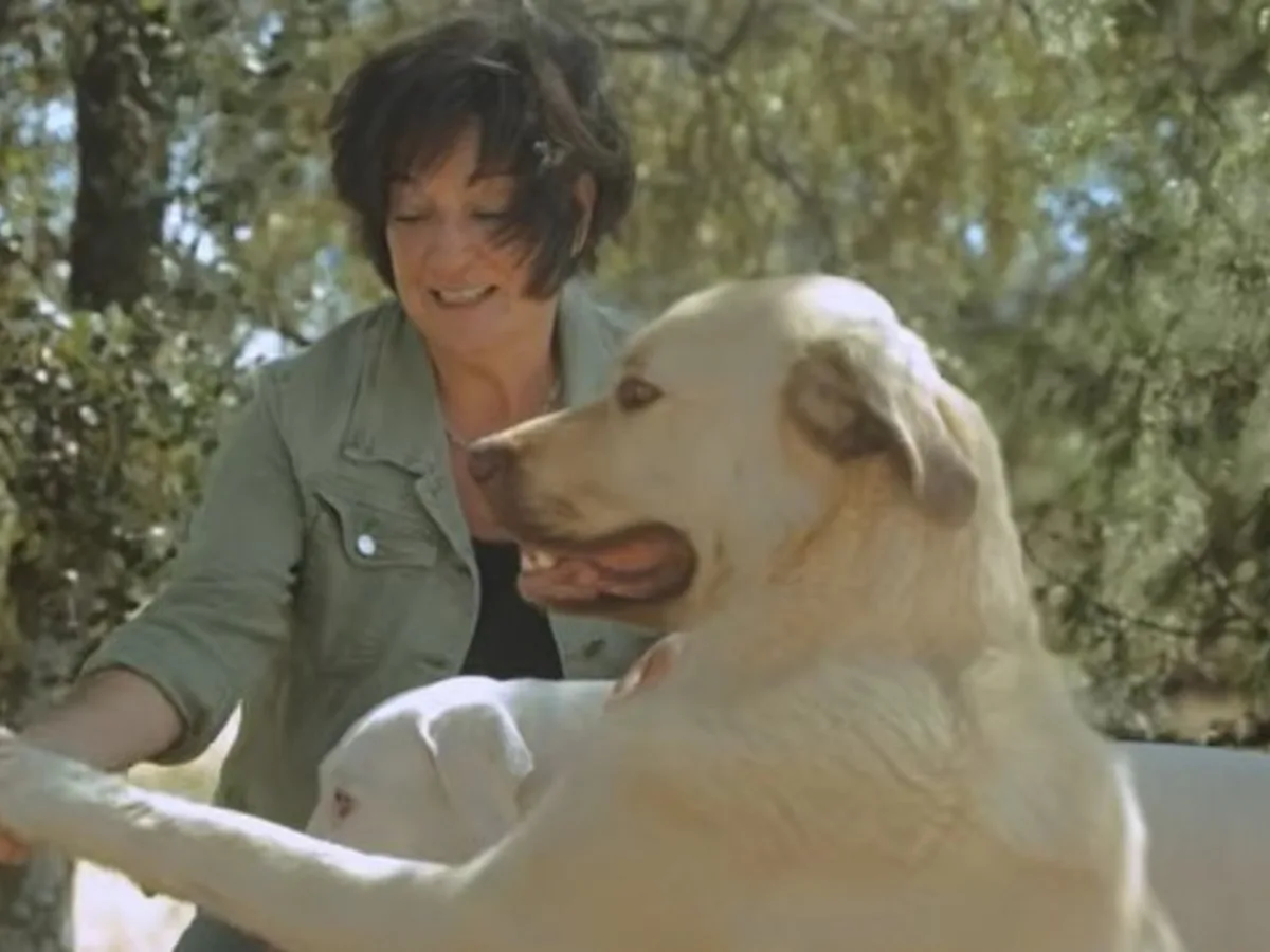 Isabel Jiménez, etóloga, sobre los perros que le ladran a otros y no son agresivos: “Un perro que grita es un perro que no puede, no un perro que quiere”
