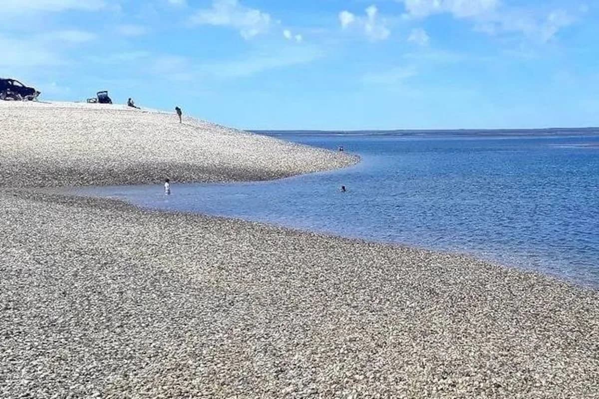 Punta Perdices, el "Caribe patagónico" de Río Negro: playas de caracoles y agua turquesa sin guardavidas