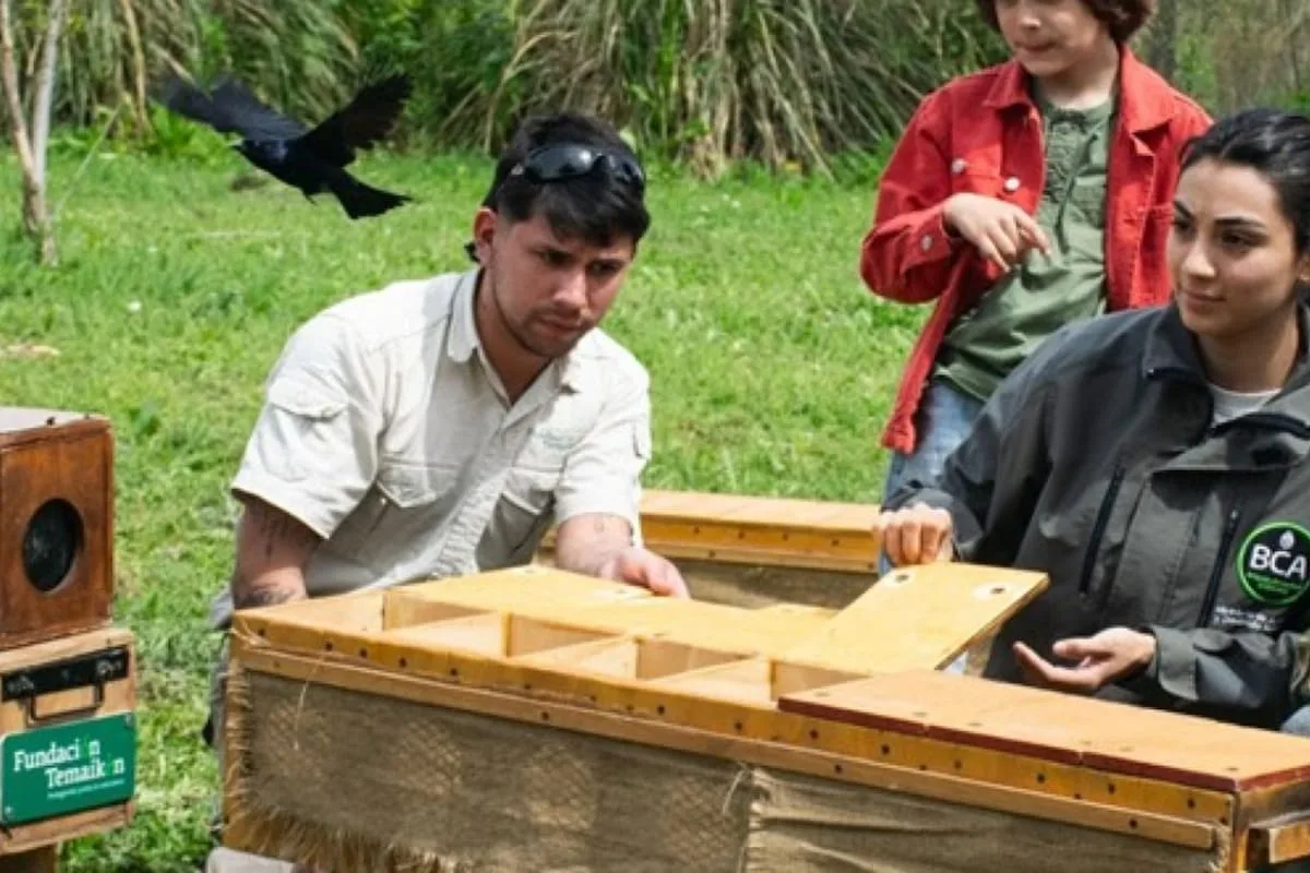 Rescataron 88 aves del tráfico ilegal y las liberaron en una reserva de Zárate