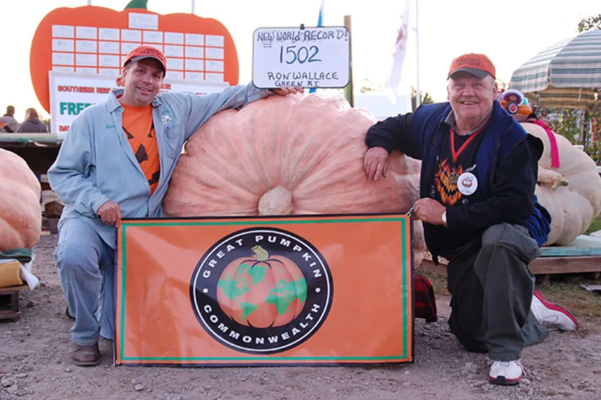 Un estadounidense de 60 años cultivó la calabaza más pesada del mundo: 1431 kilos