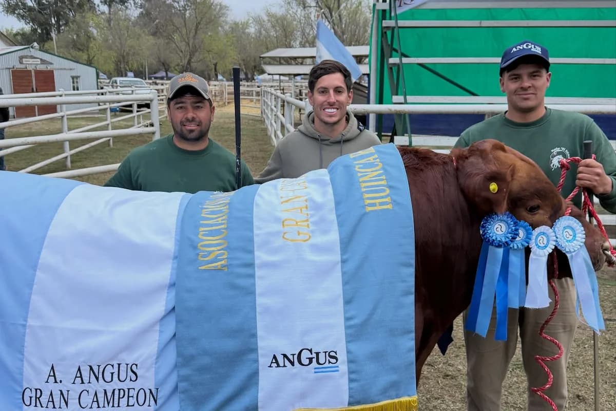 Nicolás Cavigliasso, 35 años, ganador del Dakar, sacó un toro campeón: “Me pone muy feliz”