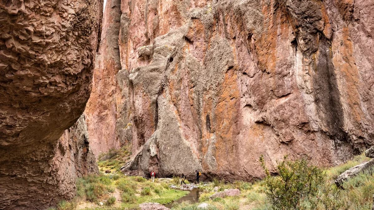 El tesoro arqueológico de la Patagonia y los exploradores que revelaron sus secretos