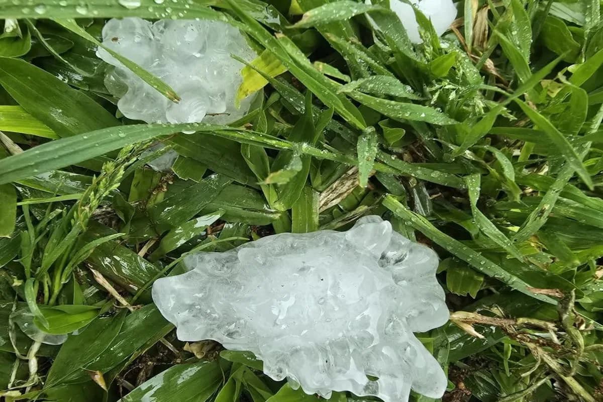 Cayó una fuerte granizada en varias localidades del norte bonaerense