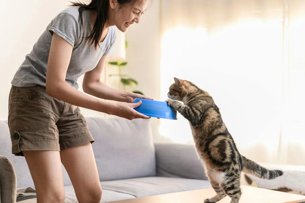 Psicología: quienes les hablan a sus mascotas tienen mayor sensibilidad