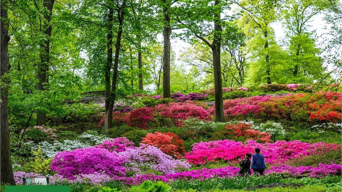 Los siete jardines botánicos que guardan el futuro de las plantas del planeta