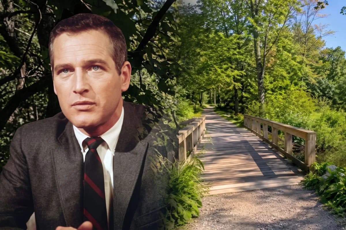 Paul Newman donó parte de su campo en Connecticut y hoy es una reserva natural de más de 15 hectáreas