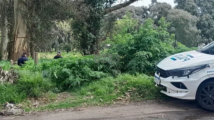 Hallaron restos óseos en bolsas en un descampado de Mar del Plata: había una cabeza en una cartera