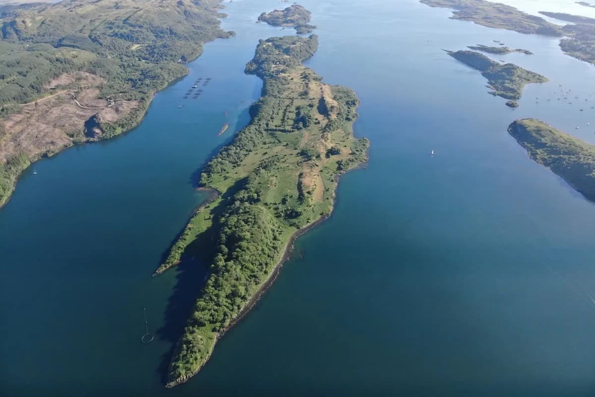 Venden una isla privada que se convirtió en refugio para ciervos, focas, nutrias y águilas