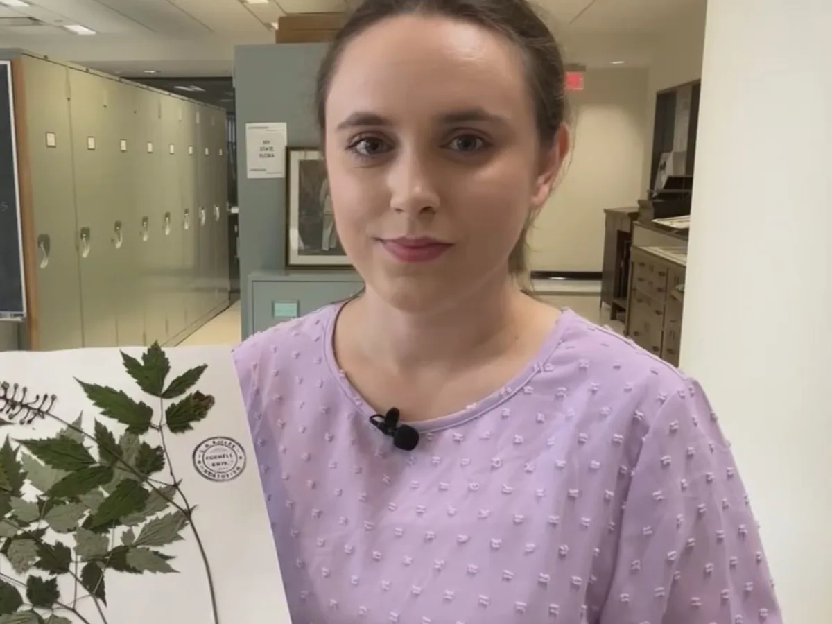 Investigadores de Cornell confirman la aparición de nuevas especies de plantas con flores en Nueva York: "Hay reglas latinas estrictas que hay que seguir para nombrar nuevas especies. En este caso, la llamamos rodostigma, que en latín significa estigma rojo"