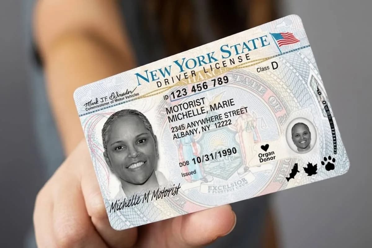 Enhanced ID vs. REAL ID: qué documento conviene a los mexicanos con doble ciudadanía en EE.UU.