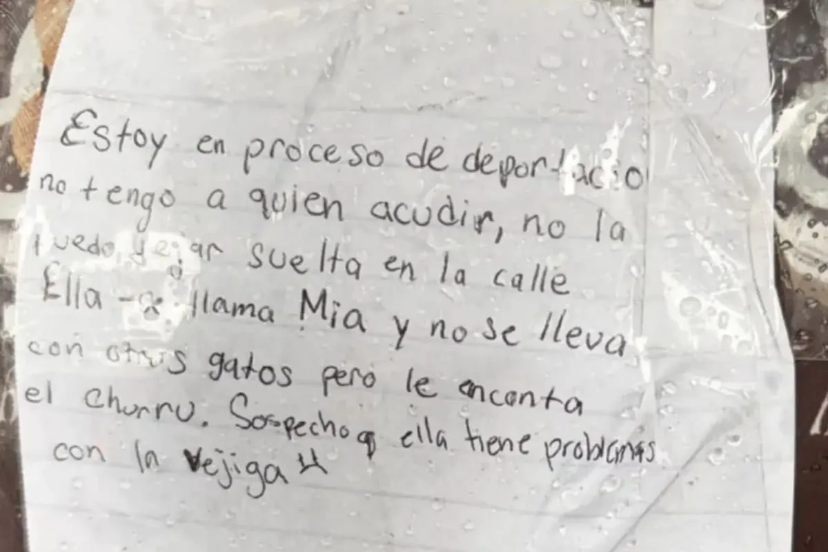 Lo deportaron y dejó una nota a quien encontrara a su gata: “No puedo dejarla en la calle”