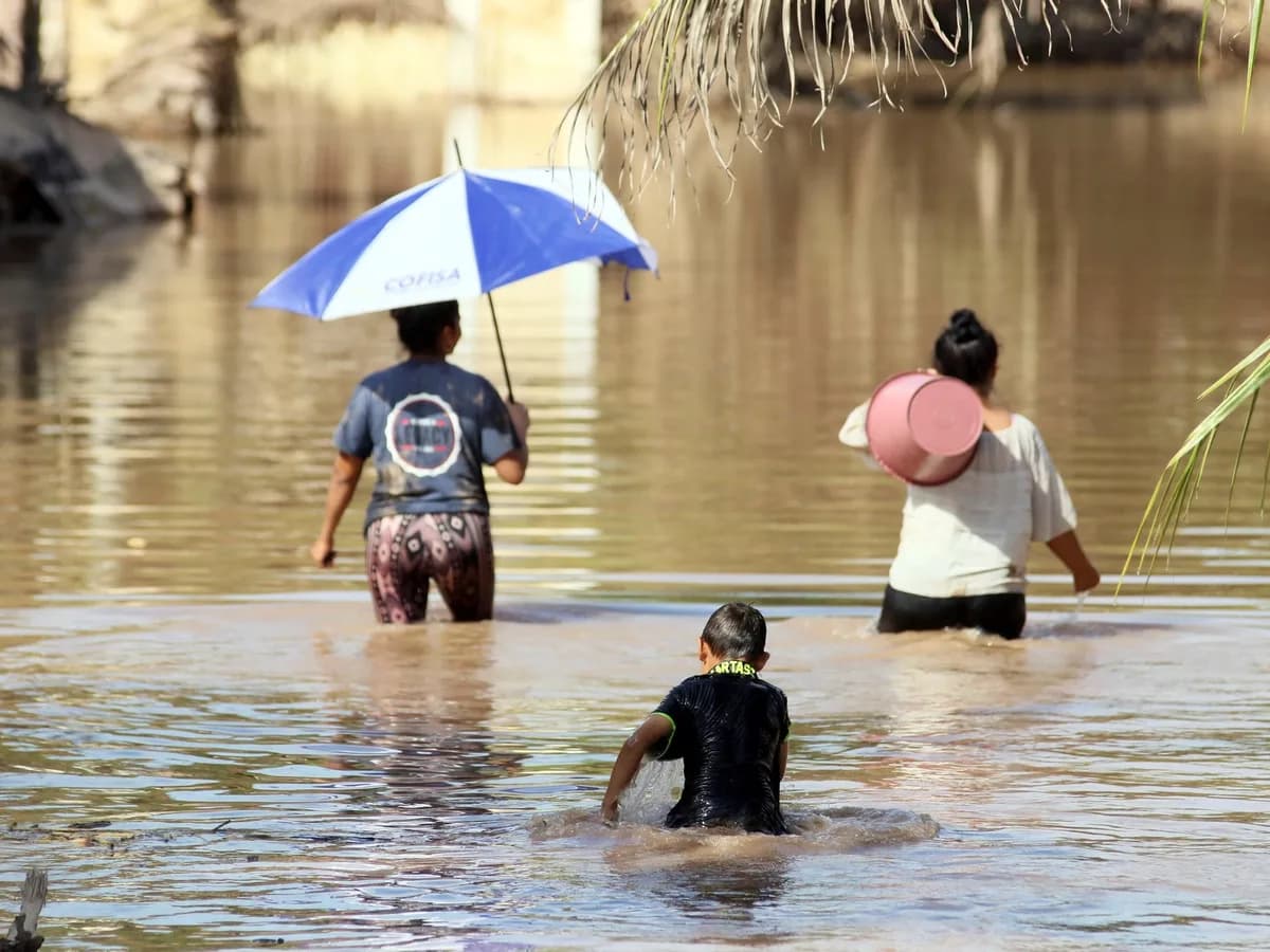 Súper Niño 2026 en Argentina, EN VIVO: cuándo llegará a su punto máximo y qué puede pasar con las lluvias