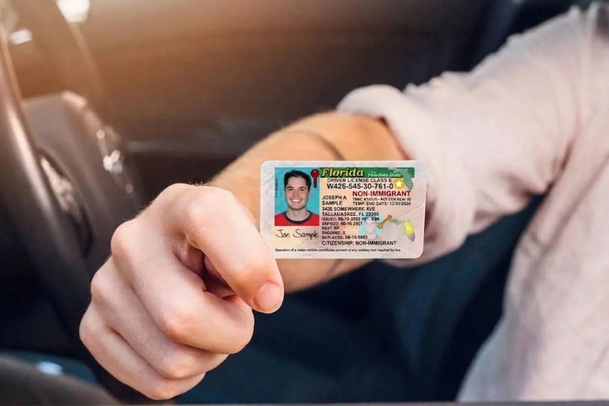 Florida cambia una regla clave para conductores desde el 1° de octubre y se actualiza el DMV